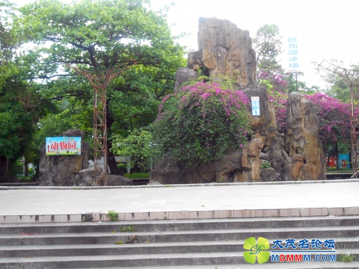 DSCN5792_.jpg