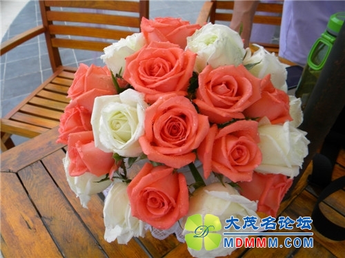 DSCN2370.jpg