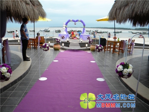 DSCN2390.jpg
