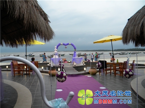 DSCN2414.jpg