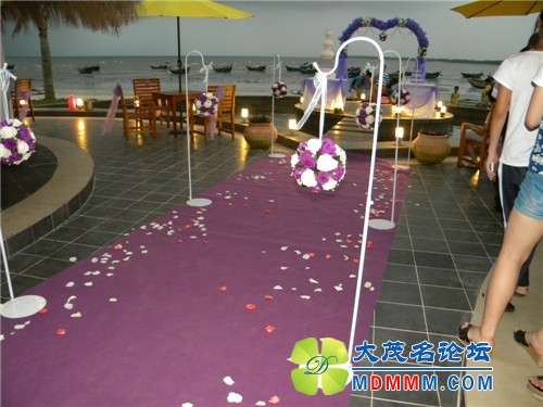 DSCN2433.jpg