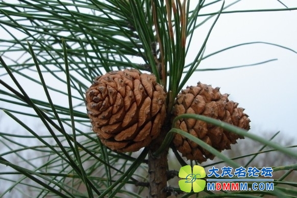 getimg.php?url=http%3A%2F%2Fwww.tynews.com.cn%2FBAIFENHAO5C%2Fwbl%2Fimages%2Fattachement%2Fjpg%2Fsite2%2F20140518%2F6c626d5b5ce114e29c1b06.jpg
