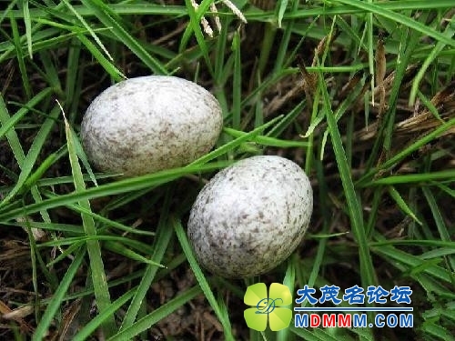 getimg.php?url=http%3A%2F%2Fwww.tynews.com.cn%2FBAIFENHAO5C%2Fwbl%2Fimages%2Fattachement%2Fjpg%2Fsite2%2F20140518%2F6c626d5b5ce114e29c2807.jpg