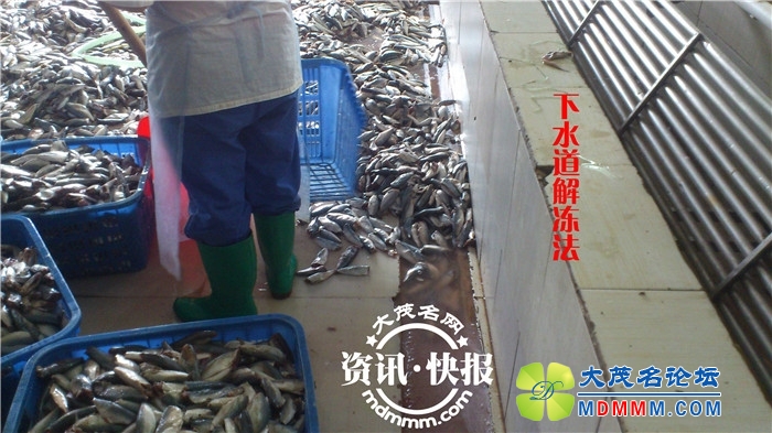 091029g7puawmzj0mdo0of.jpg