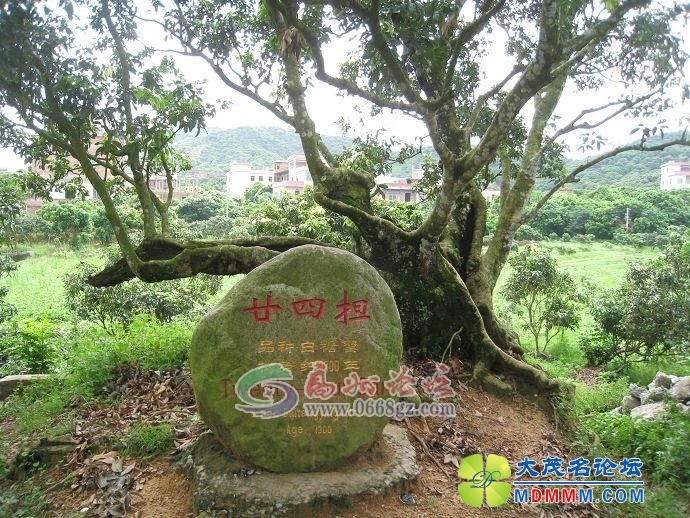 225625toc5se99a41sm5iu.jpg