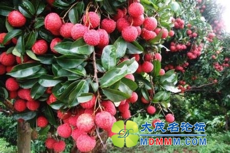 u=1092753956,4050980144&amp;fm=23&amp;gp=0.jpg