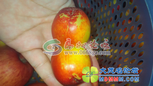 154631yd7a65fy1xldlymd.jpg