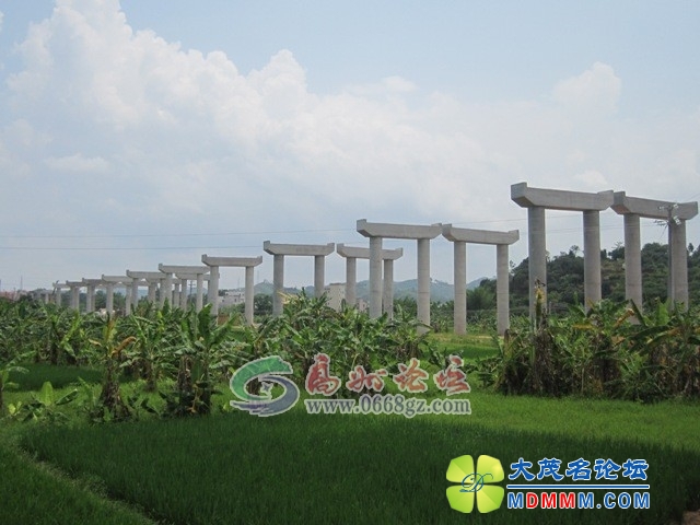 165703sgsjzrw7swmrsw1a.jpg