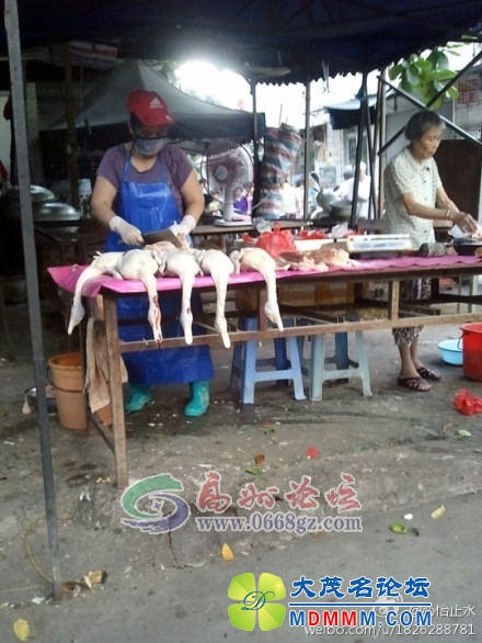 120549vxdm02f2y3odym55.jpg