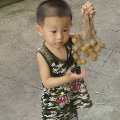 avatar.php?uid=83798&size=middle