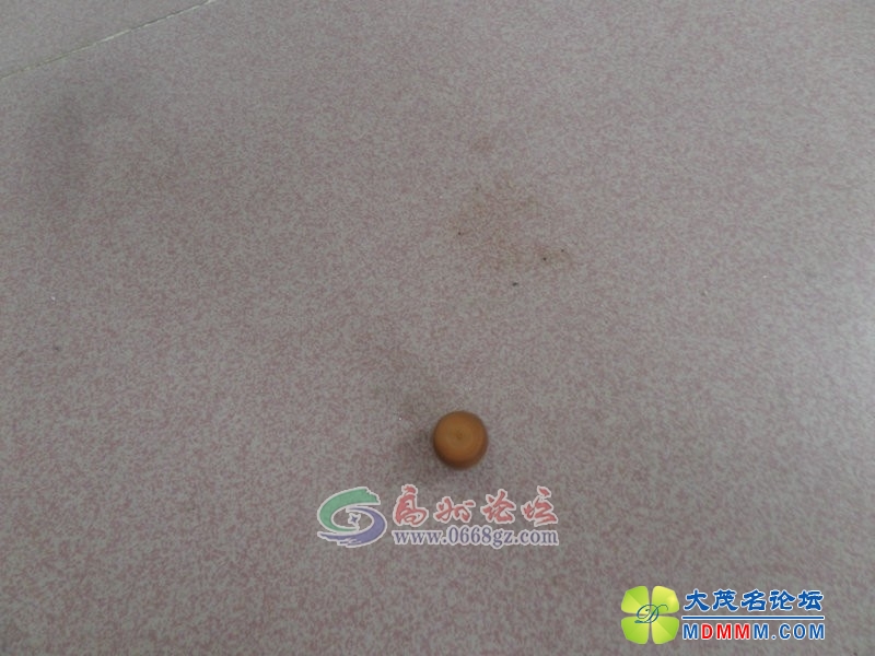 114622i84lcbcp8xp2tppp.jpg