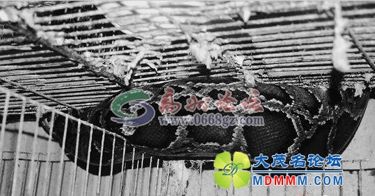 184909u65euo625joqaalo.jpg