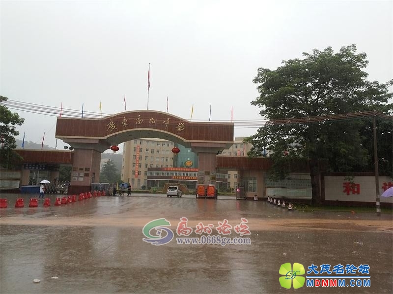 072745ssgi946ddtd4ad95.jpg