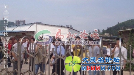 215424wa50zab0sr400zrs.jpg