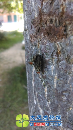 IMAG0029.jpg