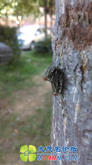 IMAG0028.jpg