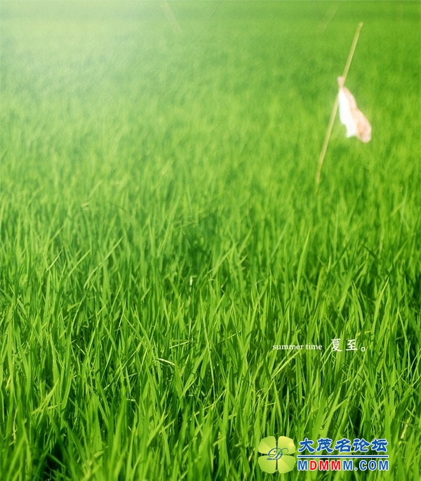 20140620155317772745.jpg