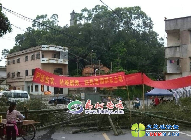 100310pc1eft9araeaiwcz.jpg