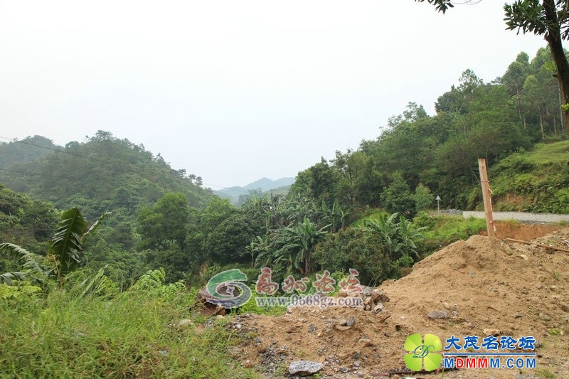 181809twjyghnb110333jg.jpg