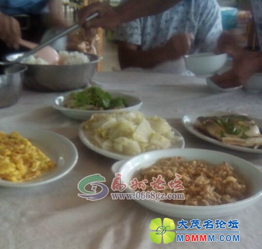 095057xrlrgr88fr76groj.jpg