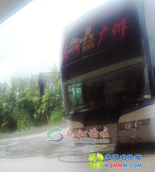 095057xrlrgr88fr76groj.jpg