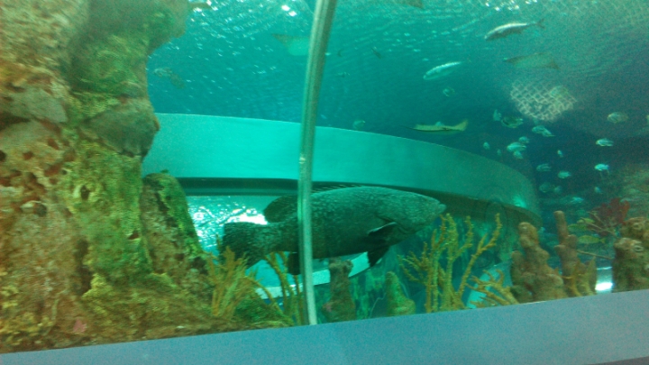 IMG_20140726_151134.jpg