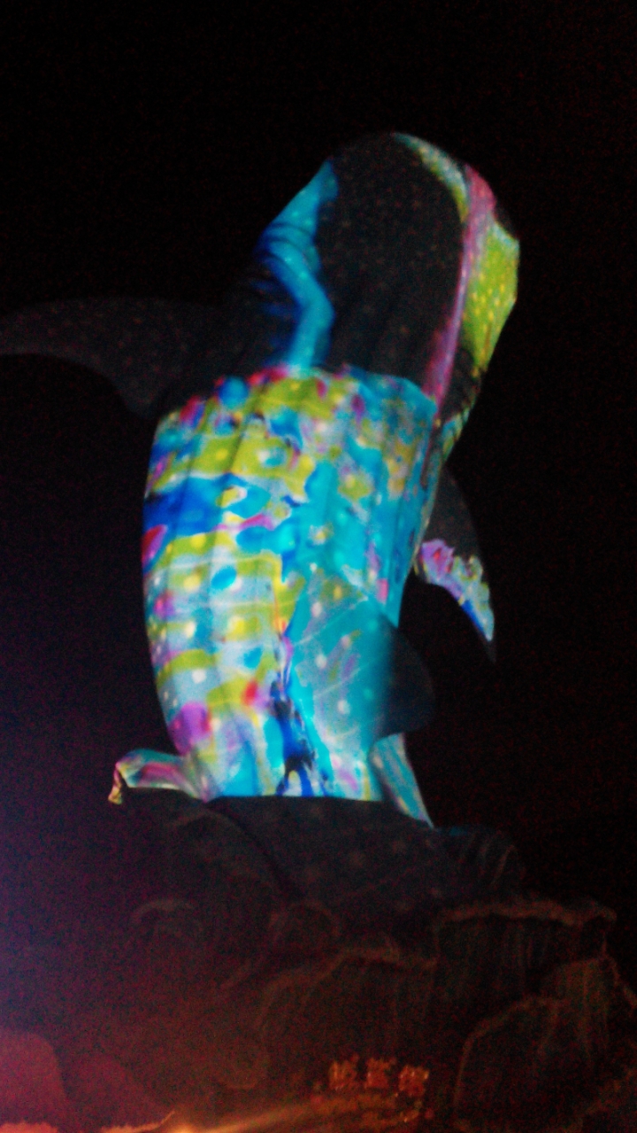 IMG_20140726_203015.jpg