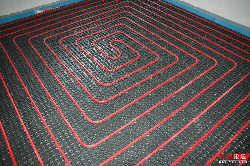 806988758329826811.jpg