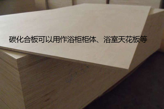 795073_1.jpg