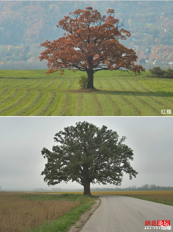 6608577255352751448.jpg