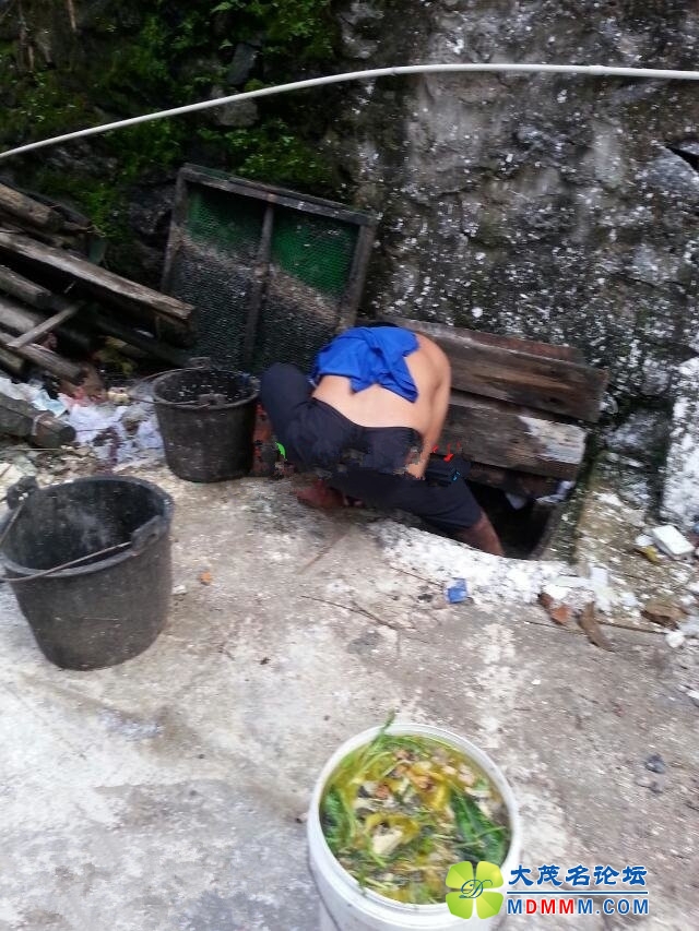 091835vu4lj2533lu40sut.jpg
