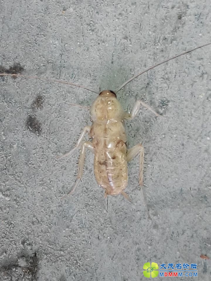 QQͼƬ20140816233229.jpg