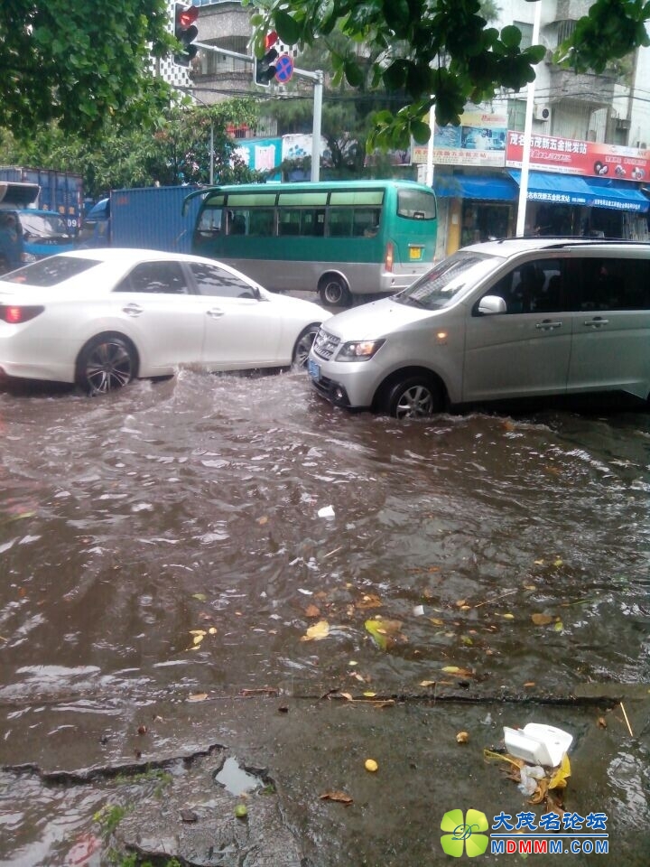 QQͼƬ20140819144307.jpg