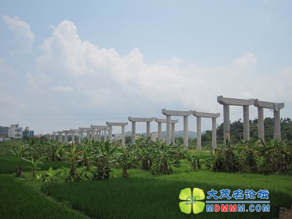 163056n89xjla4fjtabgqn.jpg