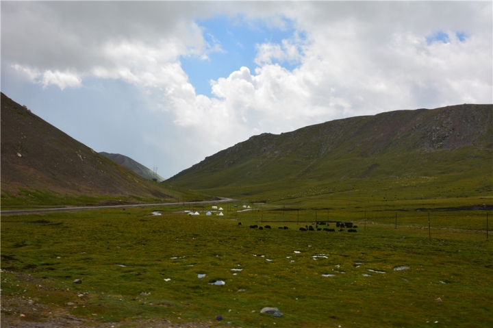 DSC_7268.jpg