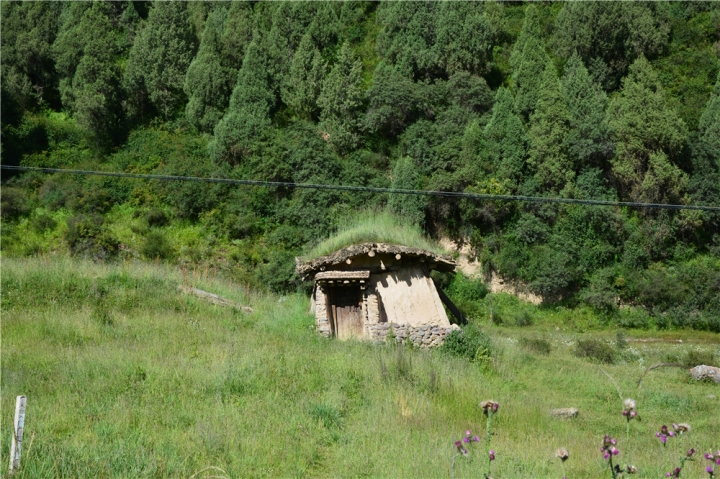 mtxx454.jpg