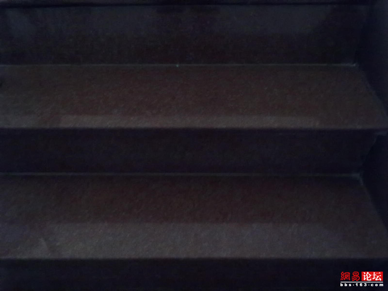 6619527291653602271.jpg