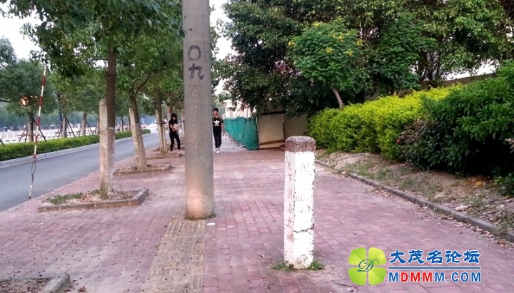 115106qj33nciyjcvj3cii.jpg