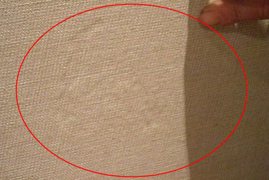 870512_5.jpg