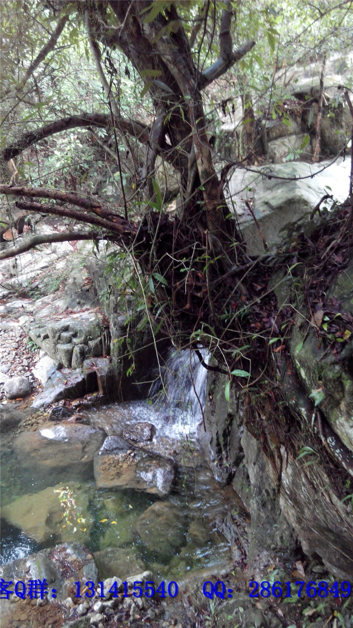 201410-11Ƭ 352.jpg