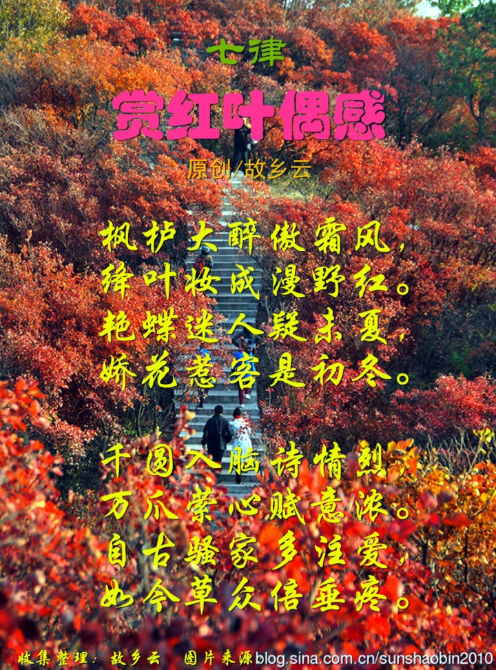 20141101_024527_008_ B.jpg