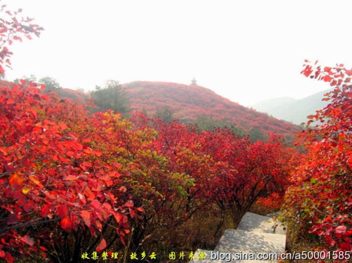 20141101_024411_004_.jpg