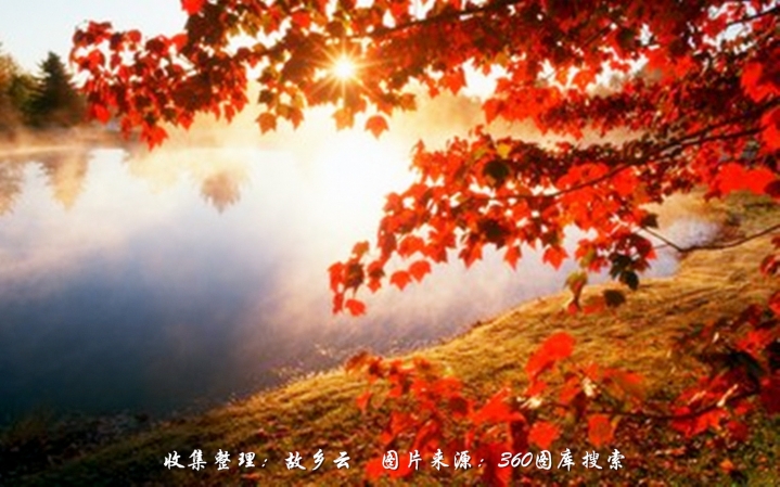Ҷ Ҷ t01aa1dcd469b3aaa25_.jpg