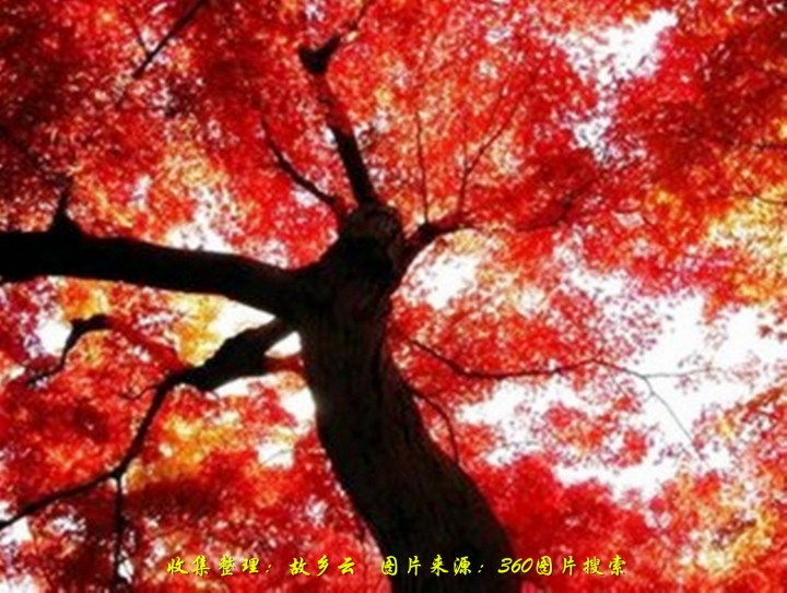 ɽҶ t018fd97c7efcca6127_.jpg