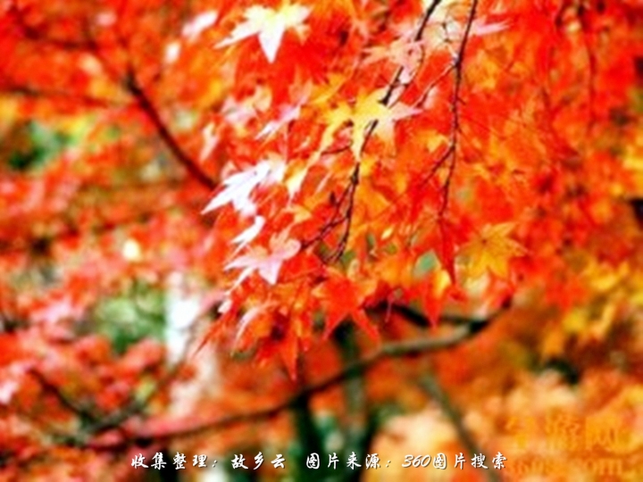 ɽҶ t0105ad52c9a22d105a_.jpg