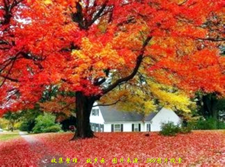 ɽҶ t0169e176482dbba162_.jpg