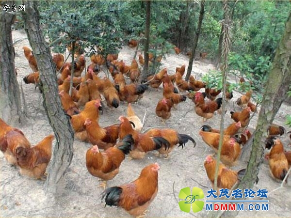 20120714171004527.jpg