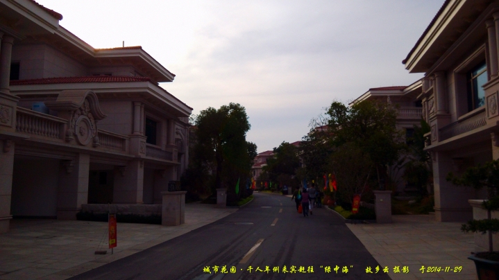 IMG_20141129_162925_.jpg