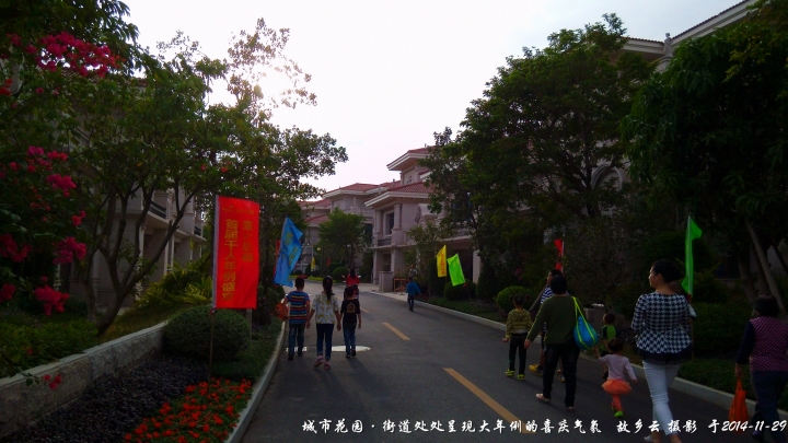 IMG_20141129_163114_.jpg