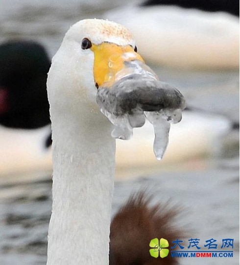 QQͼ20150205121258.jpg
